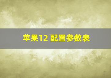 苹果12 配置参数表